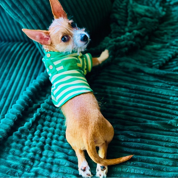 Meet your Posher, Jud - Picture 11 of 14